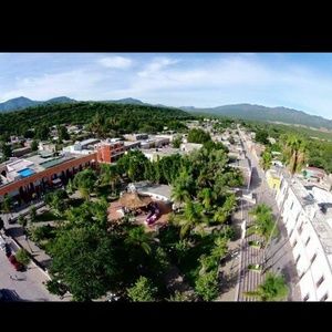 Meet your Posher, Violeta